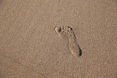 Epic Games将在波兰创立新工作室 打造独特游戏体验